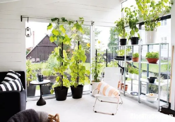 Ngôi nhà 24 mét vuông mang tên Green House Design nằm tại Thụy Điển