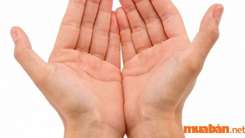 10 tiên đoán số phận con người qua các gò trên bàn tay