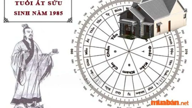 1985 hợp hướng nào? Cách xác định hướng nhà hợp phong thuỷ cho tuổi Ất Sửu