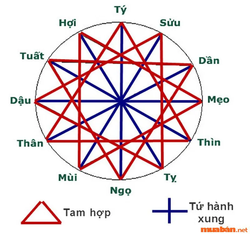 1985 hợp tuổi gì? Hóa giải như thế nào khi không hợp tuổi?