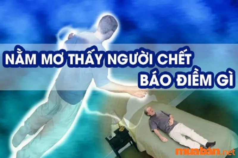 20 giấc mơ thường gặp và giải mã những ý nghĩa của từng giấc mơ