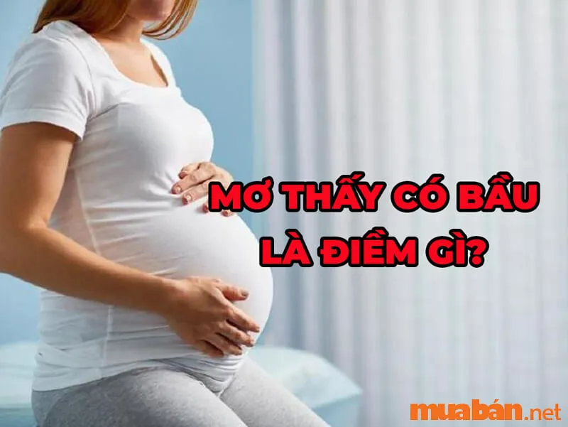 20 giấc mơ thường gặp và giải mã những ý nghĩa của từng giấc mơ