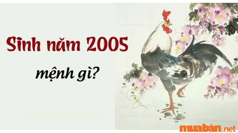 2005 mệnh gì? Ất Dậu hợp tuổi gì, màu gì và hướng nào?