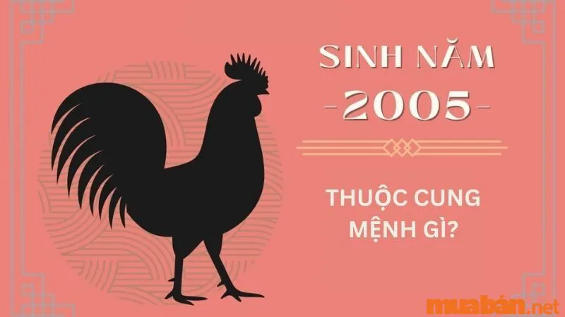 2005 mệnh gì? Ất Dậu hợp tuổi gì, màu gì và hướng nào?