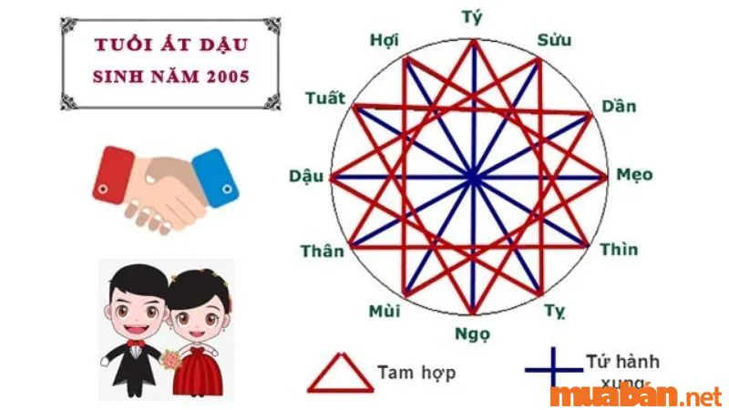 2005 mệnh gì? Ất Dậu hợp tuổi gì, màu gì và hướng nào?