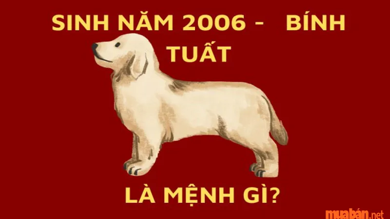 2006 mệnh gì? Bính Tuất hợp tuổi gì, màu gì và hướng nào?