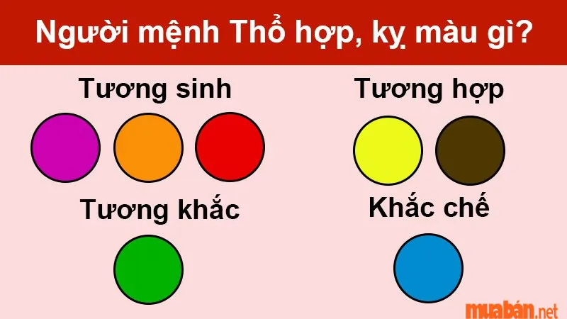 2006 mệnh gì? Bính Tuất hợp tuổi gì, màu gì và hướng nào?