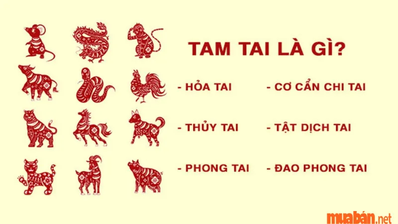 2006 mệnh gì? Bính Tuất hợp tuổi gì, màu gì và hướng nào?