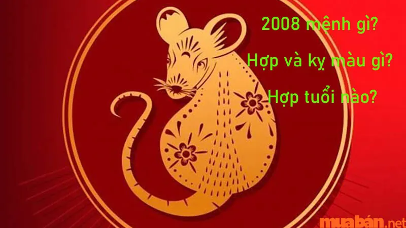 2008 mệnh gì? Hợp và kỵ màu gì? Hợp tuổi nào?