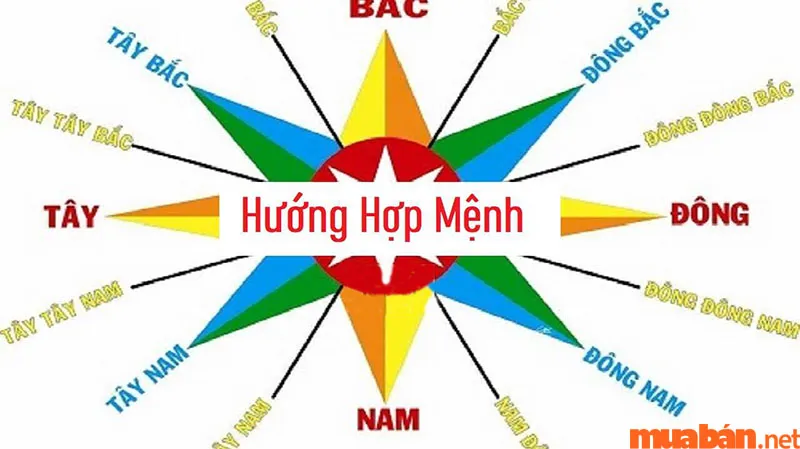 2008 mệnh gì? Hợp và kỵ màu gì? Hợp tuổi nào?