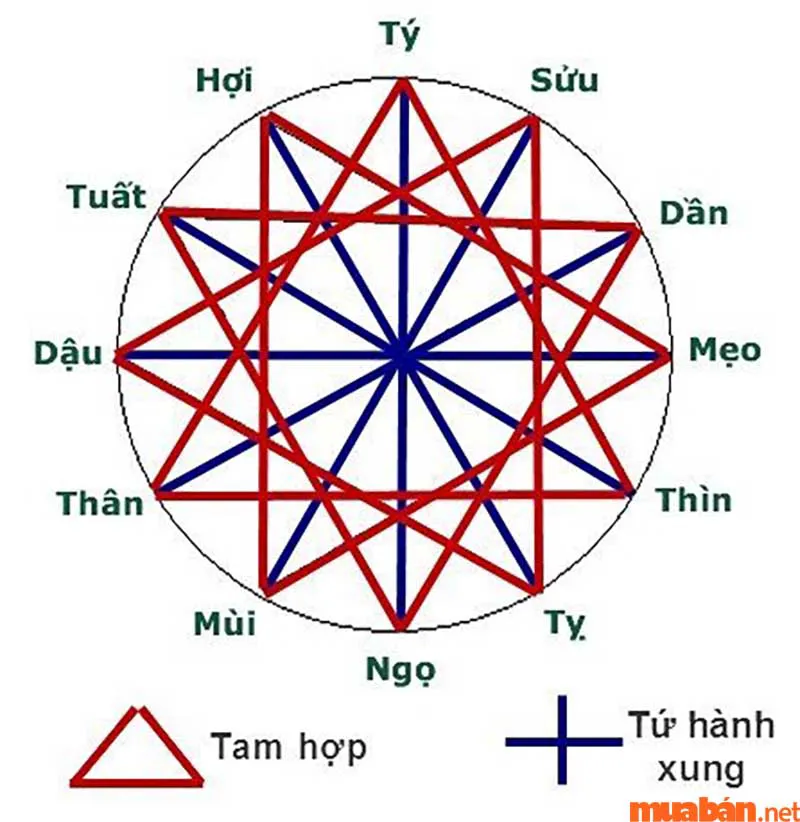 2008 mệnh gì? Hợp và kỵ màu gì? Hợp tuổi nào?