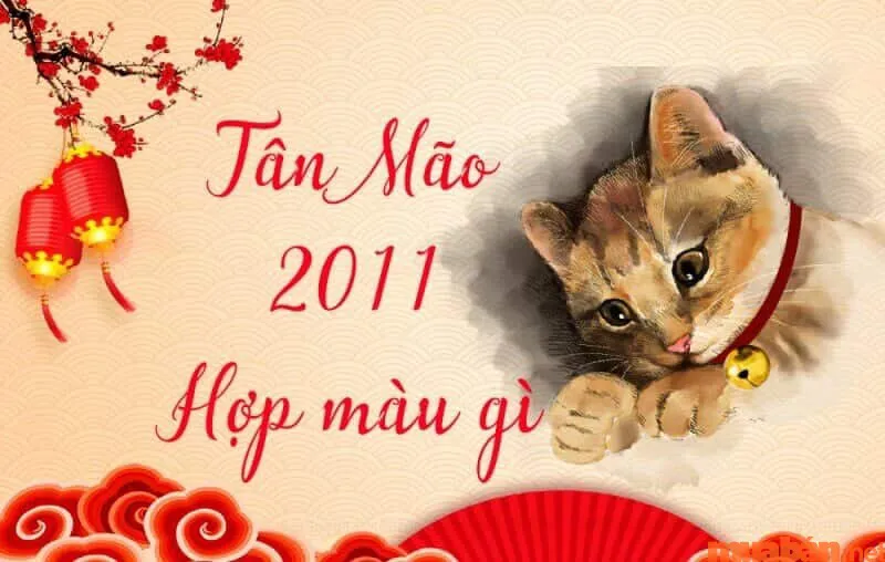 2011 mệnh gì? Chi tiết số mệnh, màu và hướng hợp với nam nữ