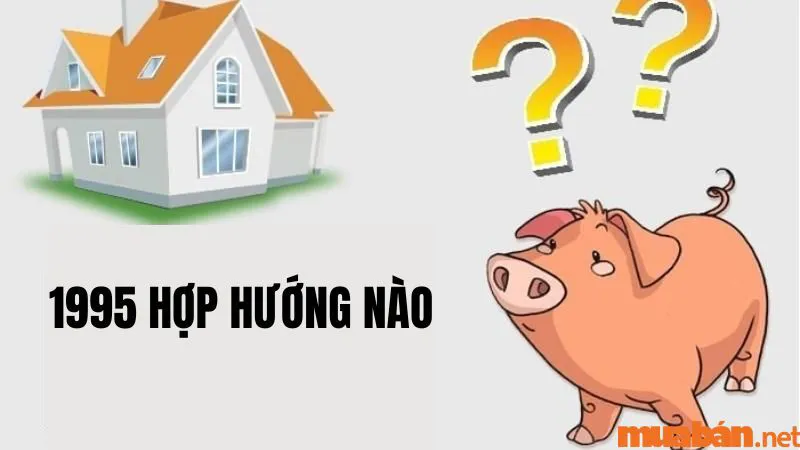 Ất Hợi 1995 hợp hướng nào? Chọn hướng xây nhà, hướng bếp hợp mệnh