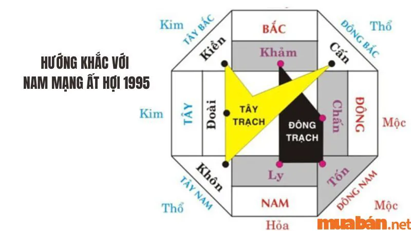 Ất Hợi 1995 hợp hướng nào? Chọn hướng xây nhà, hướng bếp hợp mệnh