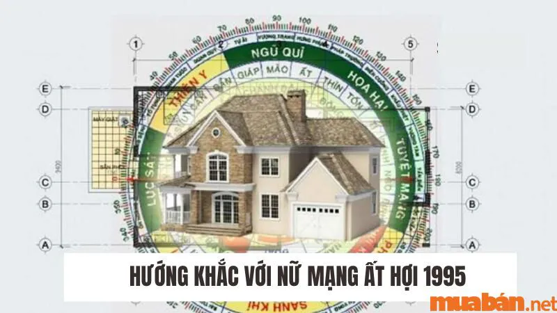 Ất Hợi 1995 hợp hướng nào? Chọn hướng xây nhà, hướng bếp hợp mệnh