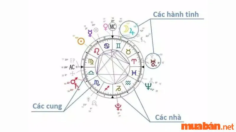 Bản Đồ Sao Là Gì? Cách Đọc Bản Đồ Sao Chuẩn Xác Nhất