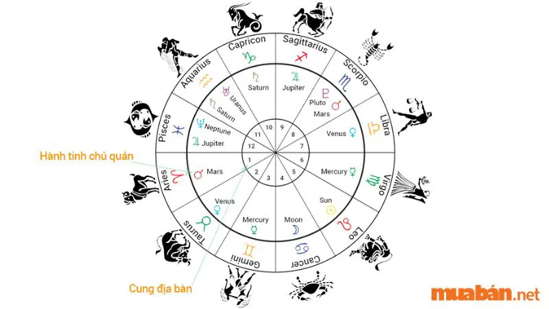 Bản Đồ Sao Là Gì? Cách Đọc Bản Đồ Sao Chuẩn Xác Nhất