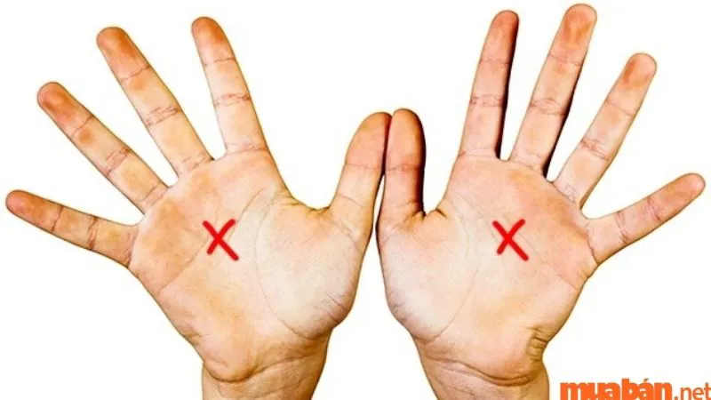 Bàn tay chữ X mang ý nghĩa gì? Luận vận mệnh người có bàn tay chữ X