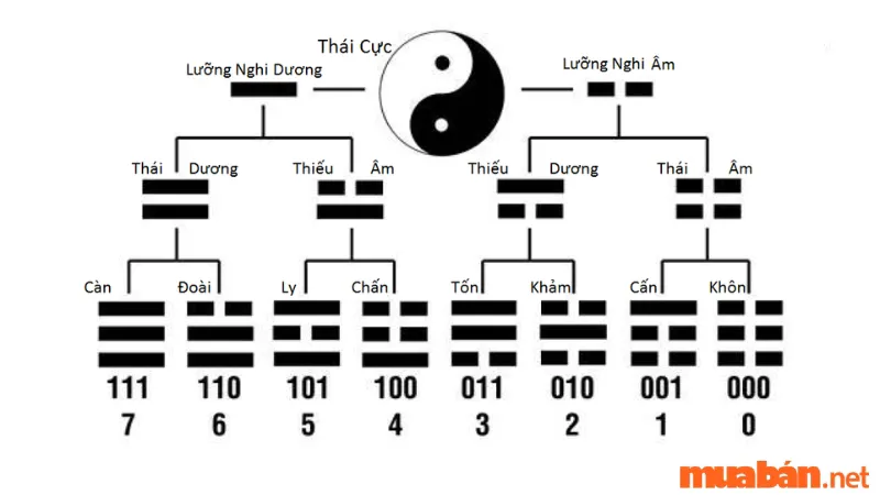 Bát quái đồ là gì? Ý nghĩa và vai trò của bát quái trong phong thủy