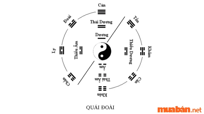 Bát quái đồ là gì? Ý nghĩa và vai trò của bát quái trong phong thủy