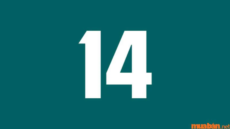 Biển số xe 14 có ý nghĩa gì? Ý nghĩa phong thủy số 14