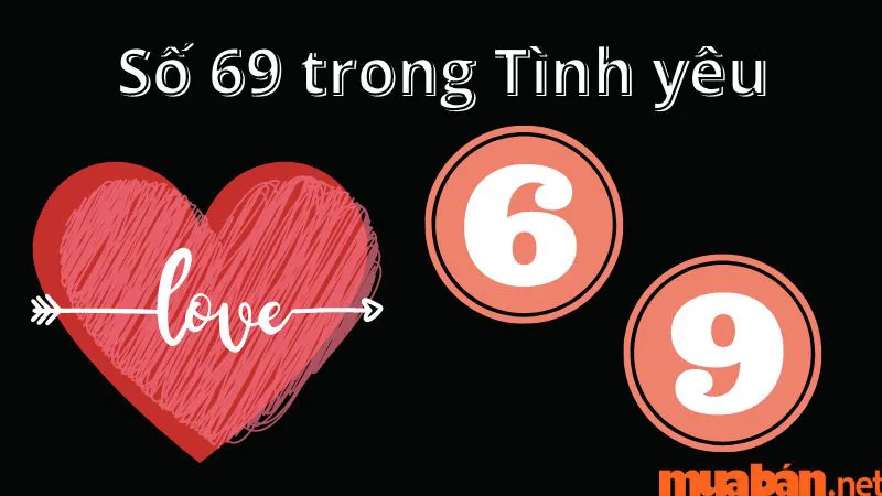 Biển số xe 69 có ý nghĩa gì? Ý nghĩa phong thủy số 69