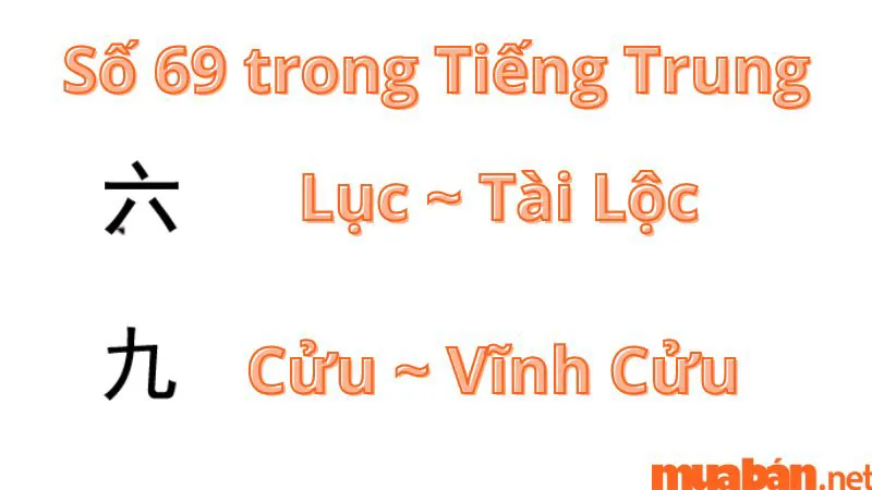 Biển số xe 69 có ý nghĩa gì? Ý nghĩa phong thủy số 69