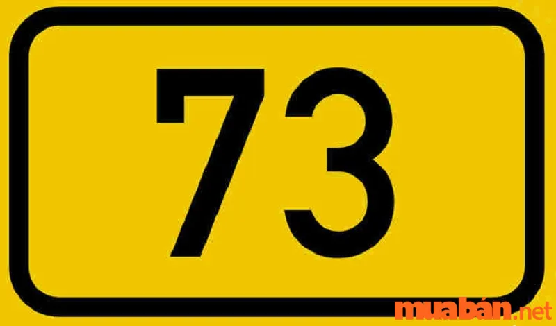 Biển số xe 73 có ý nghĩa gì? Ý nghĩa phong thủy số 73