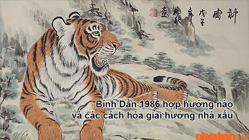 Bính Dần 1986 hợp hướng nào? Cách hóa giải hướng nhà xấu