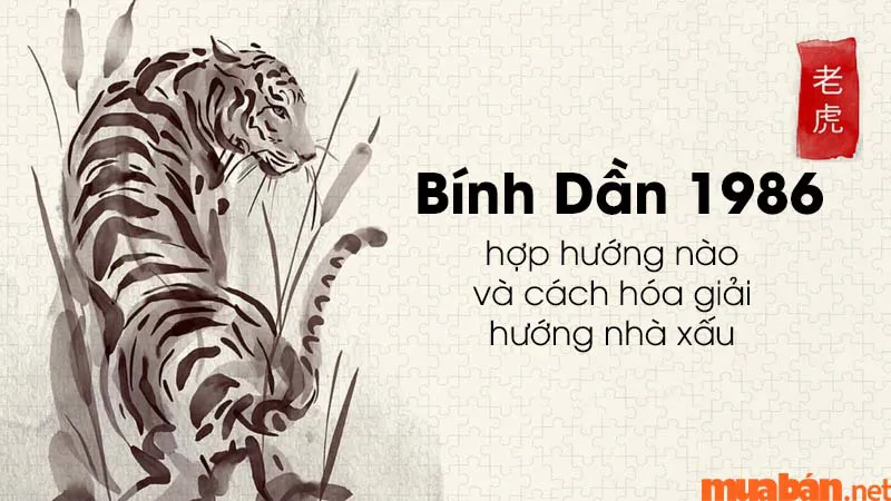 Bính Dần 1986 hợp hướng nào? Cách hóa giải hướng nhà xấu