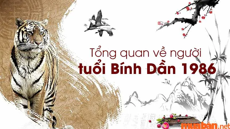 Bính Dần 1986 hợp hướng nào? Cách hóa giải hướng nhà xấu