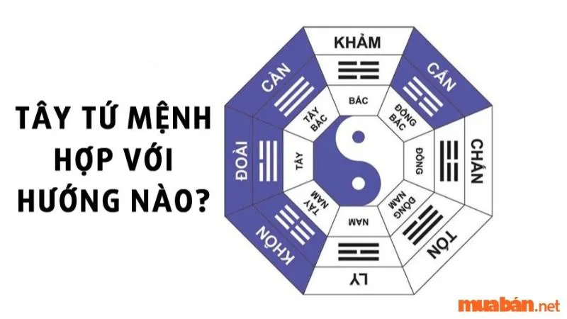 Bính Dần 1986 hợp tuổi nào? Cách hóa giải không hợp tuổi?