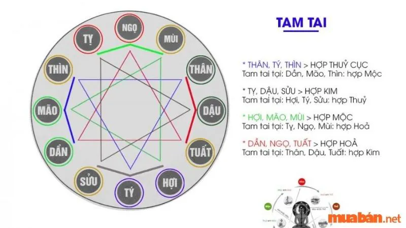 Bính Dần 1986 hợp tuổi nào? Cách hóa giải không hợp tuổi?