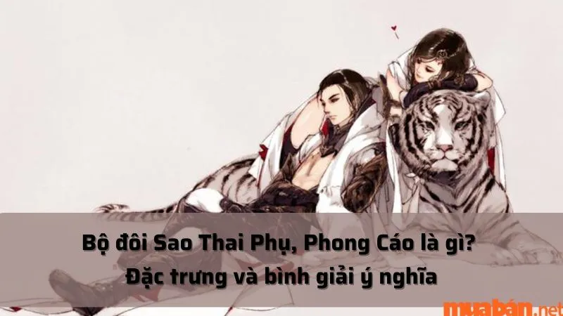 Bộ đôi Sao Thai Phụ, Phong Cáo là gì? Đặc trưng và bình giải ý nghĩa