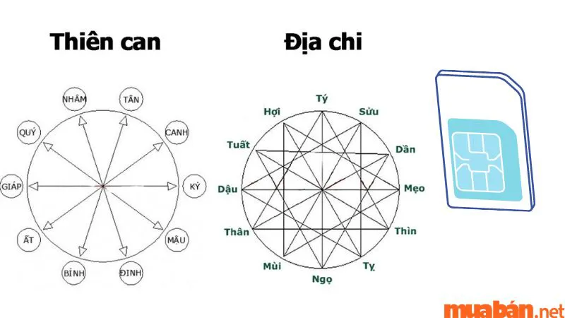 Cách tính sim phong thủy hợp mệnh, hợp tuổi và những điều cần lưu ý