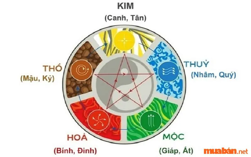 Can Chi là gì? Chi tiết về các Thiên Can và Địa Chi trong phong thủy