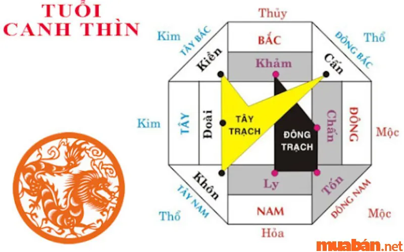 Canh Thìn Sinh Năm 2000 Mệnh Gì, Hợp Tuổi Gì, Hướng Nào?