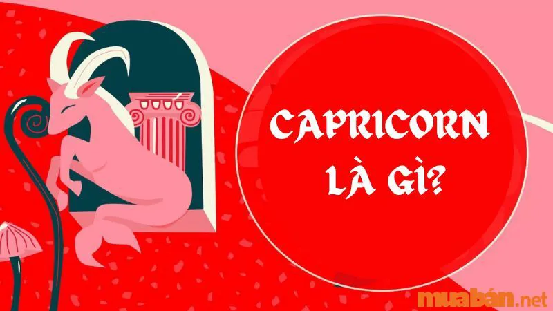 Capricorn Là Gì? Khám Phá Những Bí Ẩn Đặc Biệt Của Cung Ma Kết