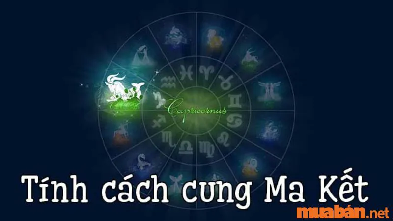 Capricorn Là Gì? Khám Phá Những Bí Ẩn Đặc Biệt Của Cung Ma Kết