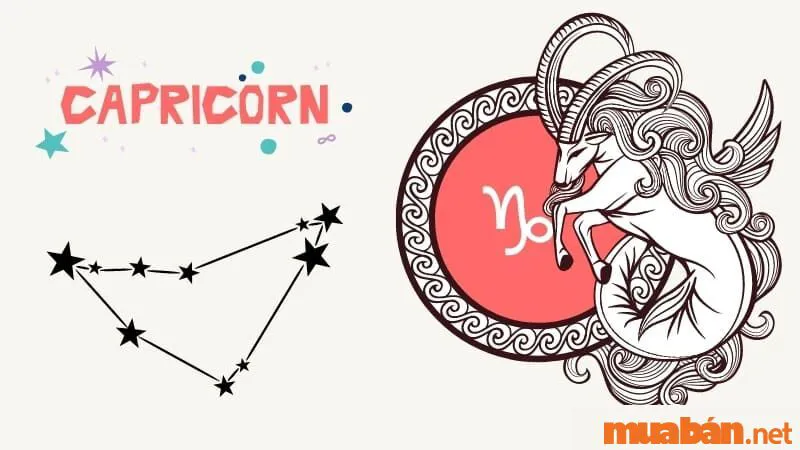 Capricorn Là Gì? Khám Phá Những Bí Ẩn Đặc Biệt Của Cung Ma Kết