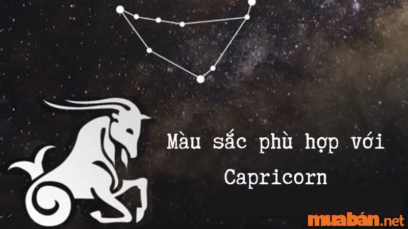 Capricorn Là Gì? Khám Phá Những Bí Ẩn Đặc Biệt Của Cung Ma Kết