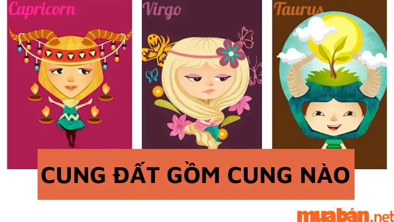 Cung Đất Gồm Cung Nào? Giải Mã Tính Cách, Tình Duyên, Sự Nghiệp