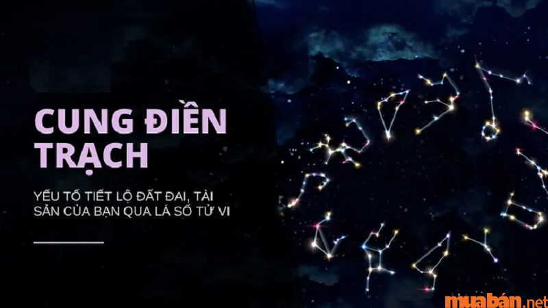 Cung Điền Trạch là gì? Luận giải chi tiết cung Điền Trạch trong Tử Vi