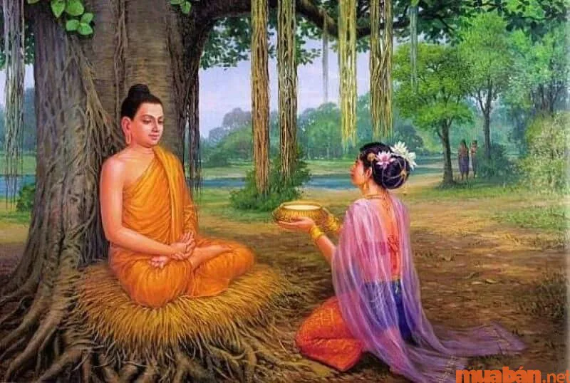 Cúng dường là gì? Ý nghĩa và hướng dẫn cách cúng dường trong Phật Giáo
