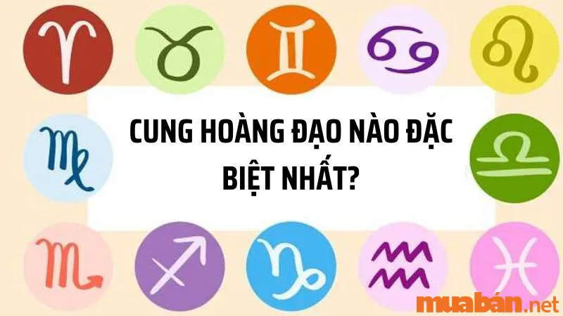 Cung Hoàng Đạo Nào Đặc Biệt Nhất Và Đặc Biệt Vì Điểm Gì?