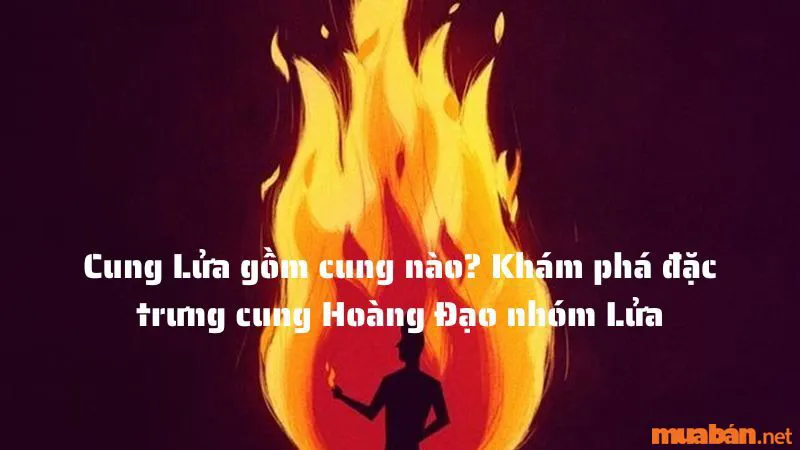 Cung Lửa Gồm Cung Nào? Khám Phá Điểm Đặc Trưng Cung Hoàng Đạo Nhóm Lửa