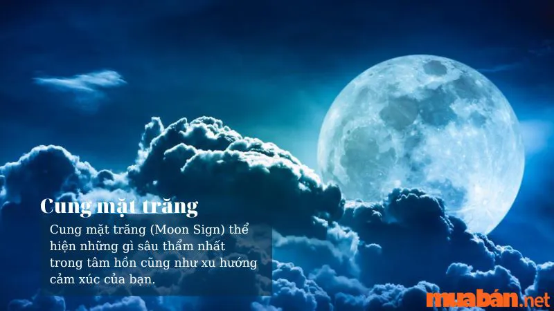 Cung Mặt Trăng Là Gì? Cách Tìm Moon Sign Và Ý Nghĩa 12 Moon Sign