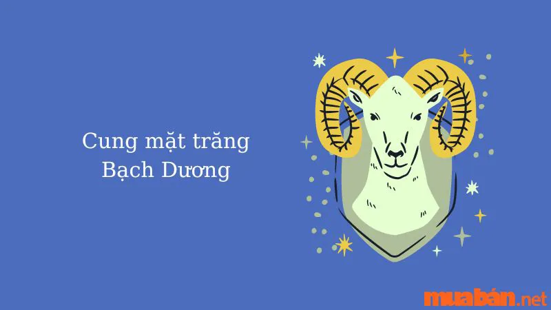 Cung Mặt Trăng Là Gì? Cách Tìm Moon Sign Và Ý Nghĩa 12 Moon Sign