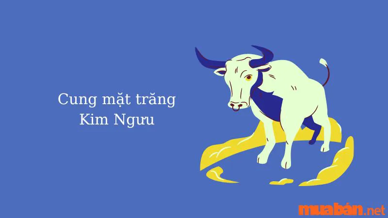 Cung Mặt Trăng Là Gì? Cách Tìm Moon Sign Và Ý Nghĩa 12 Moon Sign