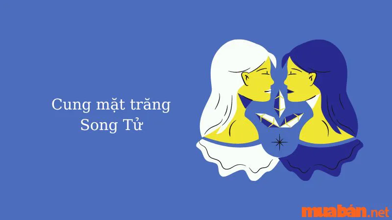 Cung Mặt Trăng Là Gì? Cách Tìm Moon Sign Và Ý Nghĩa 12 Moon Sign